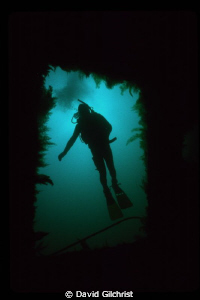 Diver hovers at entrance companionway on HMCS Saguenay, L... by David Gilchrist 